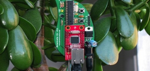 Botanicalls tweet piante