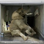 Copertura per porta da garage