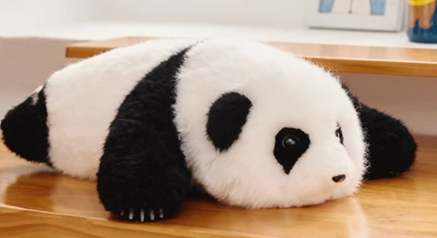 Panda per combattere la solitudine