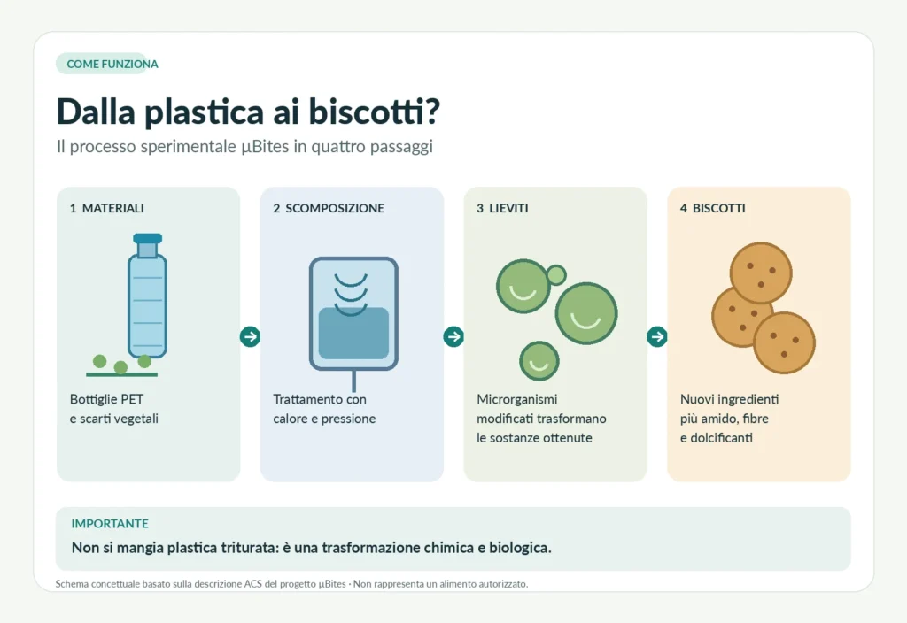 Infografica in quattro passaggi che illustra il processo sperimentale µBites, dai materiali di scarto ai biscotti.